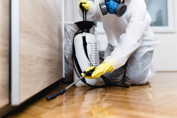  Dexter, OR Pest Control Pros