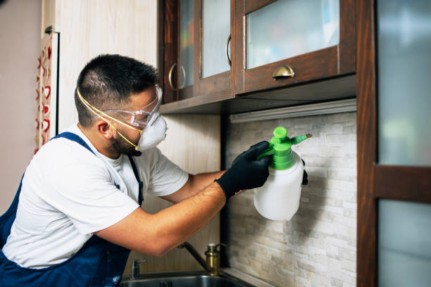 Pest Control Cost in Dexter, OR