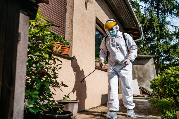 Best Best Pest Control Companies  in Dexter, OR