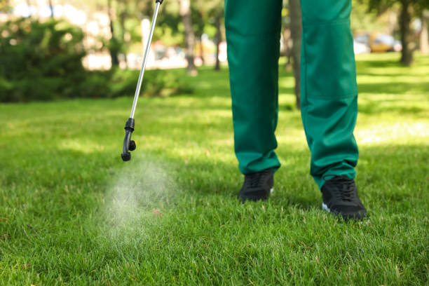 Best Residential Pest Control  in Dexter, OR