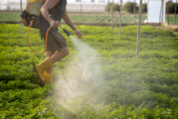 Professional Pest Control in Dexter, OR