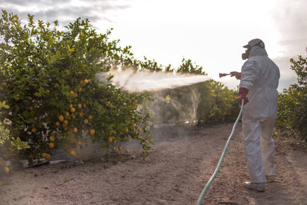 Best Pest Control Near Me  in Dexter, OR