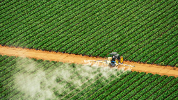 Best Ant Control Services  in Dexter, OR