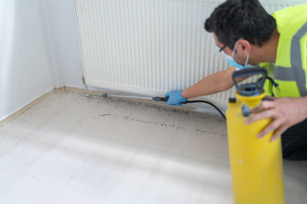 Best Pest Prevention Services  in Dexter, OR