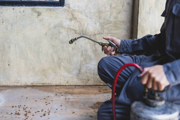 Best Pest Inspection Near Me  in Dexter, OR