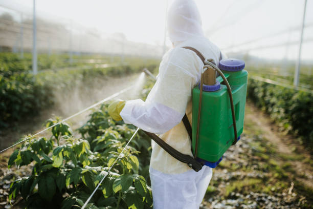 Best Mosquito Control Services  in Dexter, OR